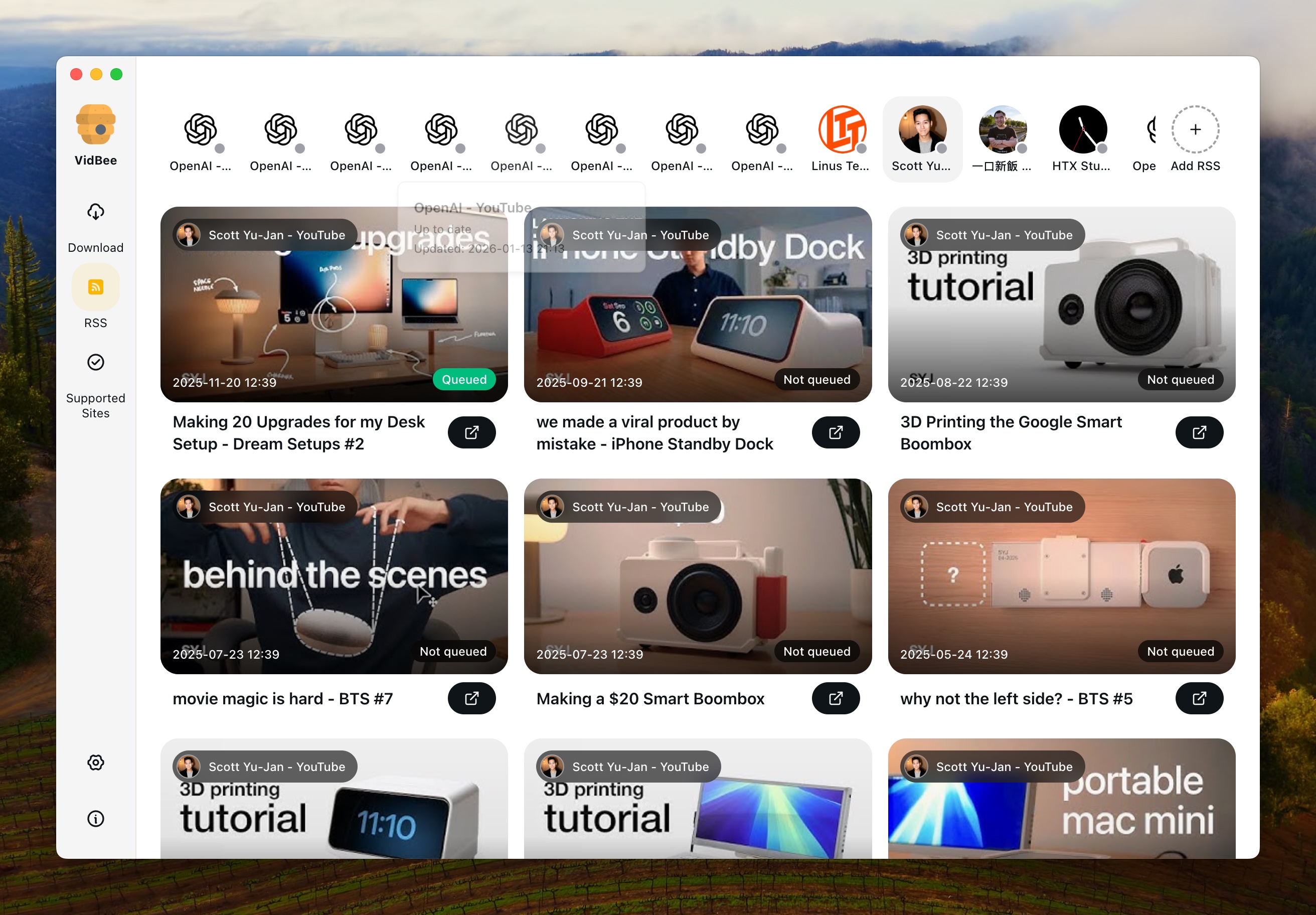VidBee Interface Preview