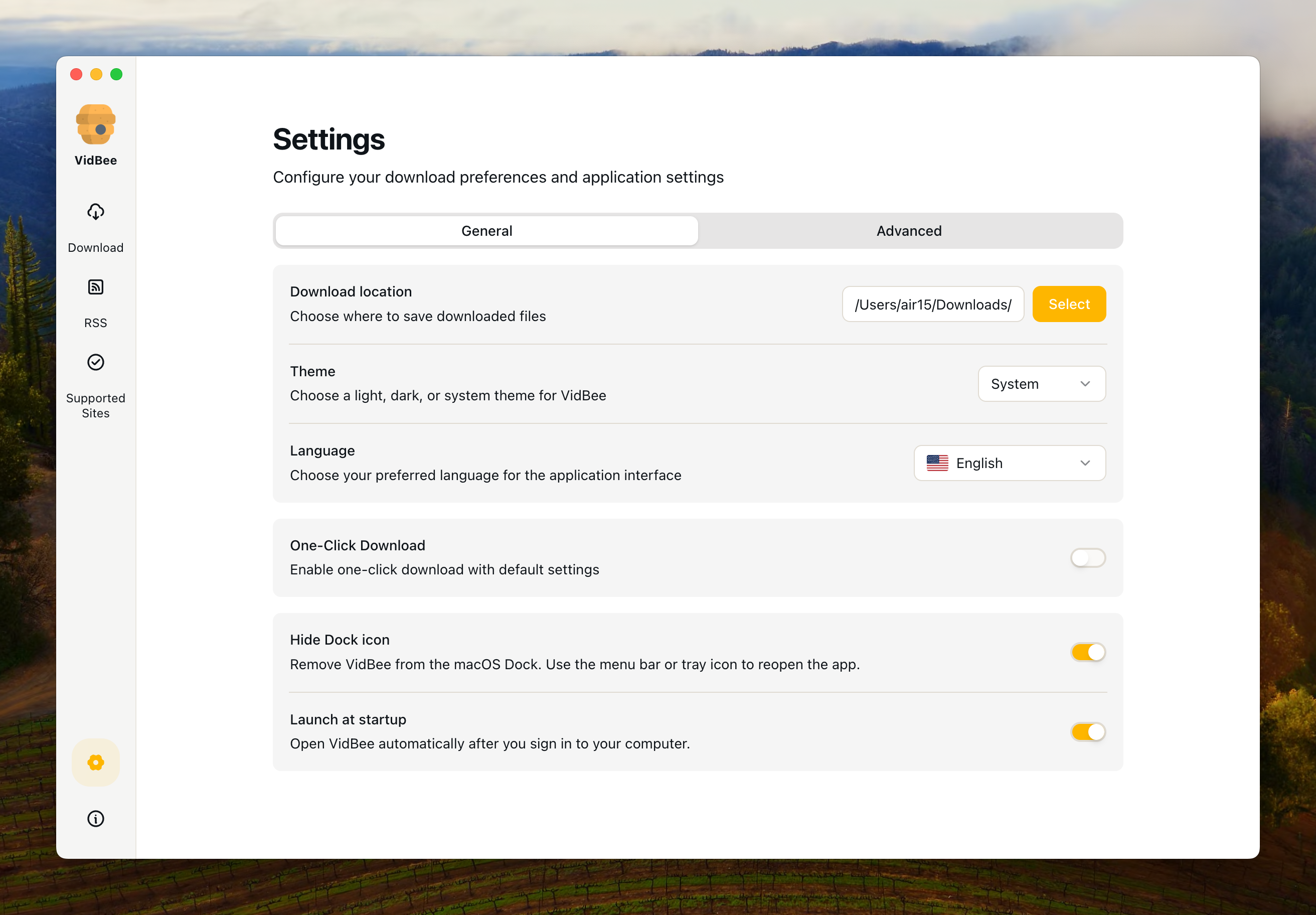 VidBee Interface Preview